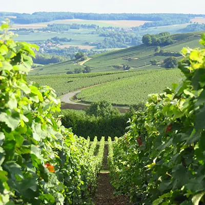 Vallée de la Marne